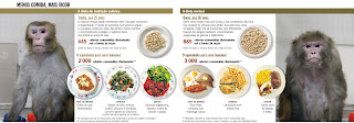 To Live Longer, Eat Less: Less Quantity and More Quality