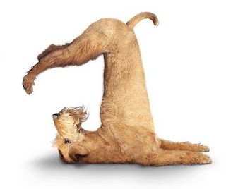 YOGA IS NO BETTER THAN STRETCHING EXERCISES