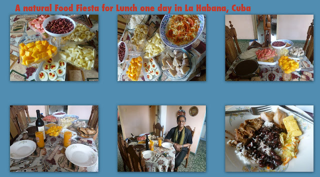 INCONGRUITIES OF LIFE IN LA HABANA, CUBA
