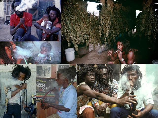 RASTA AND DIABETES…AN EXTRATERRESTRIAL COMMUNICATION