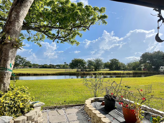 THE PLEASURES OF LIVING IN THE TROPICS