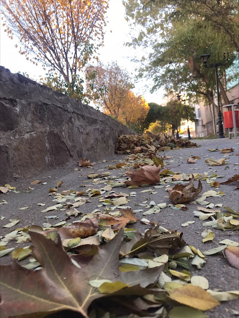 TOMORROW YET TO BE BORN IS A COLLECTION OF TODAYS NOSTALGIA.. AUTUMN LEAVES FOR PENELOPE, VIENTE ANOS ATRAS