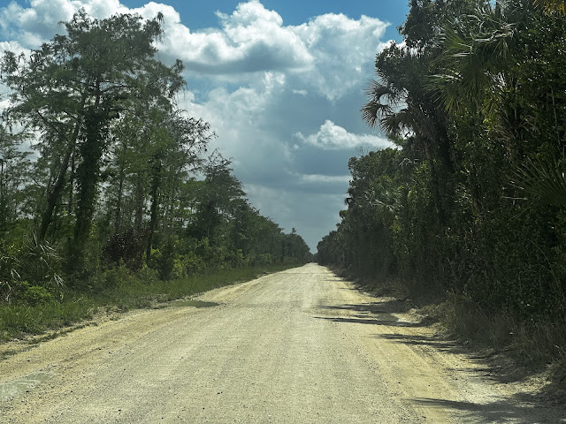 Pinecrest, Edgar Watson, and the moral edge of the Everglades